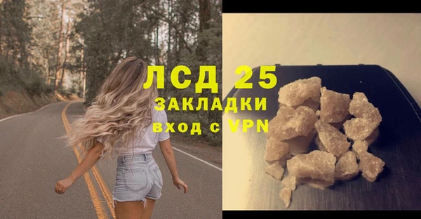 прущий лед Алзамай