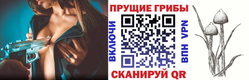 Псилоцибиновые грибы GOLDEN TEACHER  Новозыбков 