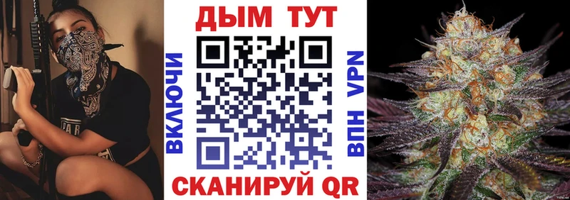Шишки марихуана гибрид  гидра tor  Новозыбков 
